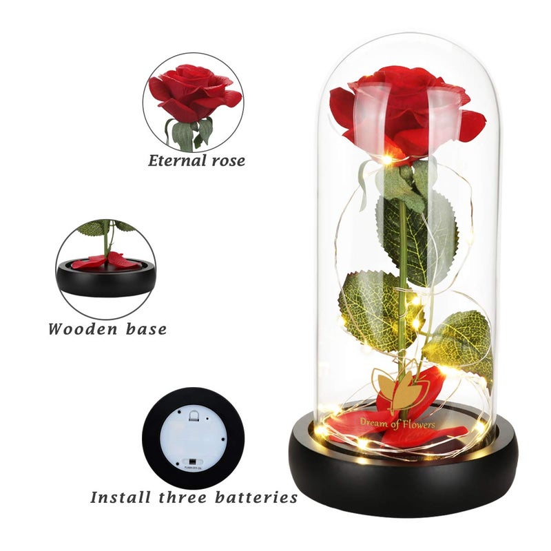 Dream of Flowers Beauty and The Beast Rose Birthday Gifts for Women, Valentine's Day Gifts for her, Eternal Rose Artificial Flower Light Up Rose in Glass Dome, Glass Roes Flower Gifts for Wife/Girlfriend - Image 2